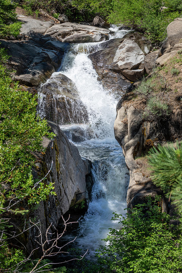 Silver Creek Waterfall Portrait Photograph by Nicholas McCabe