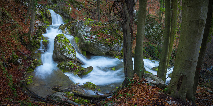 Sipotului waterfalls Photograph by Cosmin Stan