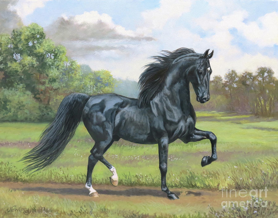 Horse Painting - Dreamscapes Sir Duke by Jeanne Newton Schoborg