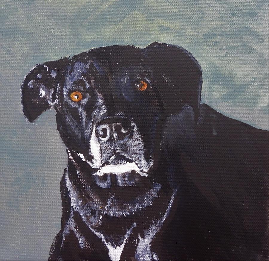 Sir Isaac Painting by Betty-Anne McDonald