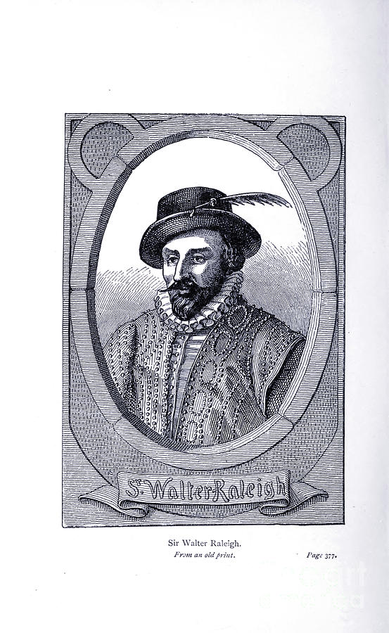 Sir Walter Ralegh x5 Drawing by Historic illustrations
