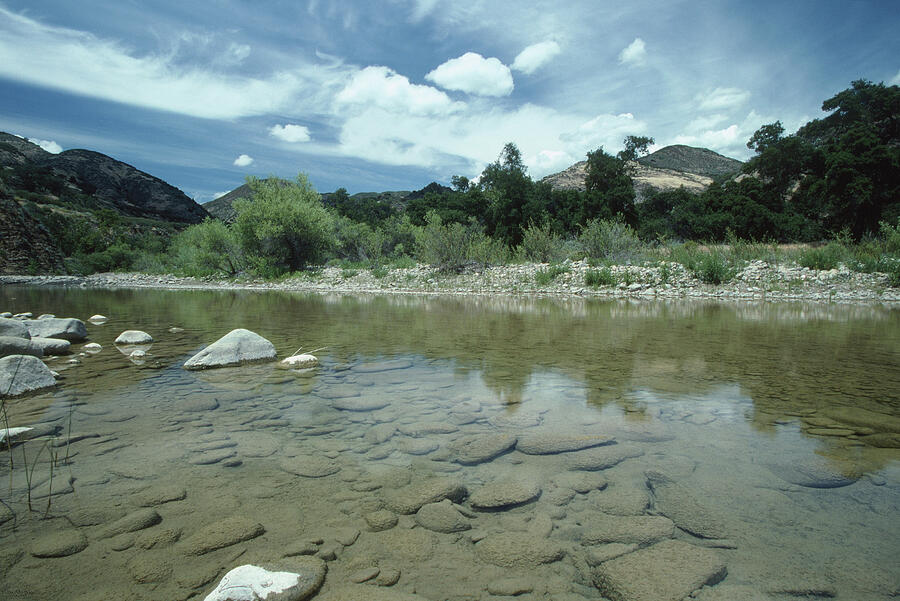 Sisquoc River - Kodachrome 25 Photograph by Soli Deo Gloria Wilderness ...