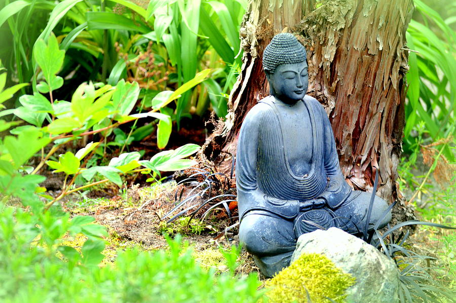 Sitting Buddha Photograph by Marla McPherson - Fine Art America