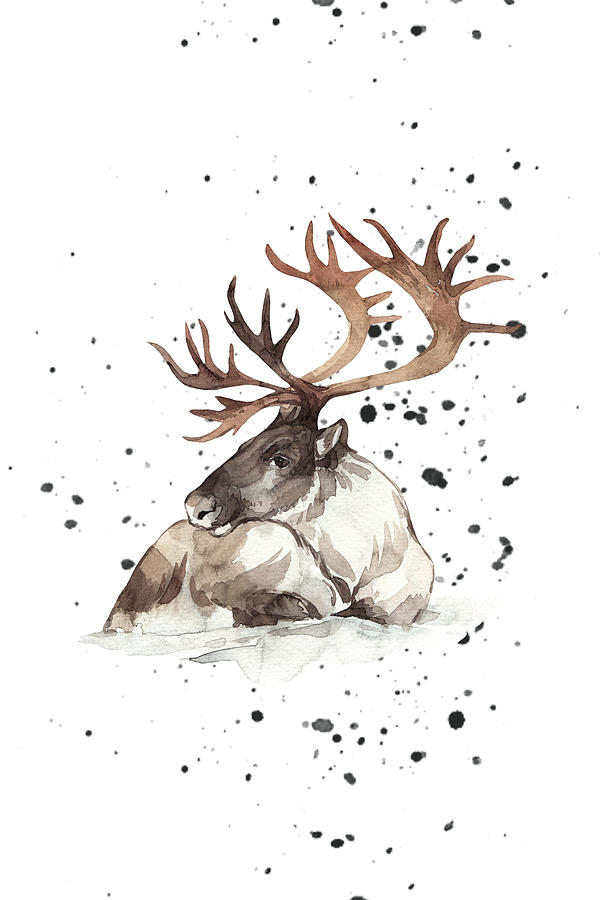 Sitting Deer with Splash Digital Art by N Kirouac
