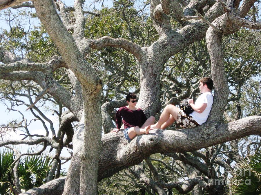 Sitting in a Tree on Jekyl Island, Georgia  Photograph by Catherine Ludwig Donleycott