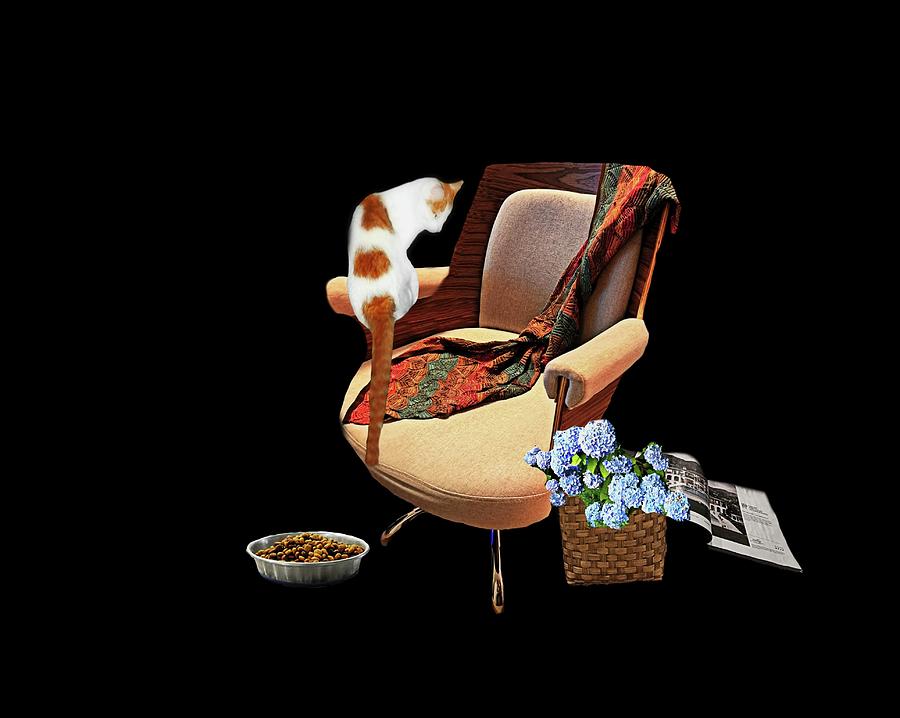 Sitting on My Chair Photograph by Diana Angstadt Fine Art America