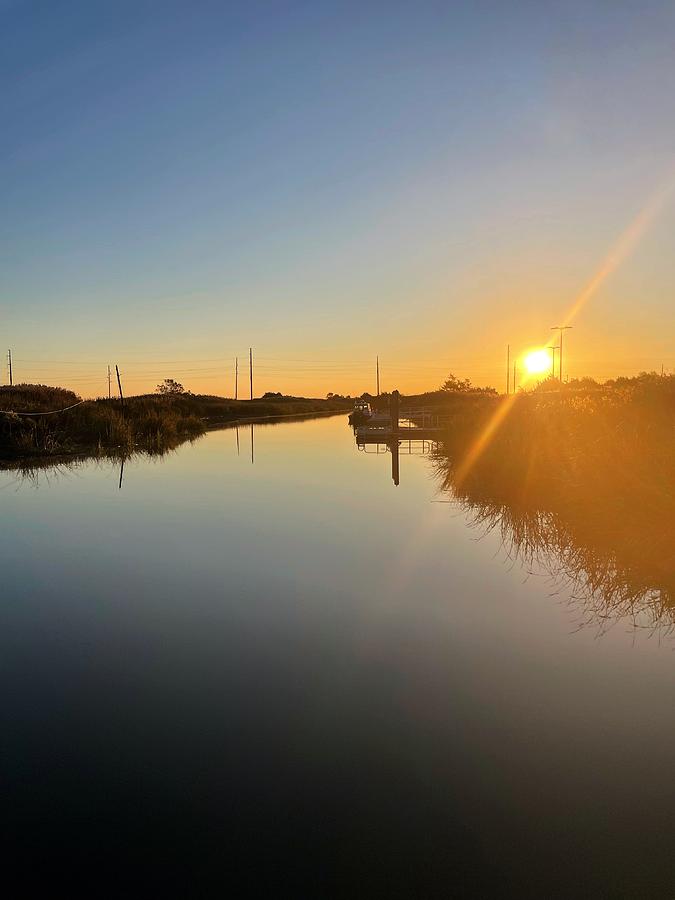 Sitting in the morning Sun Photograph by William E Rogers - Fine Art ...