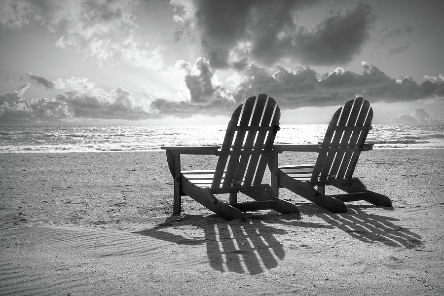 Sitting in the Sunshine in Black and White Photograph by Debra and Dave Vanderlaan