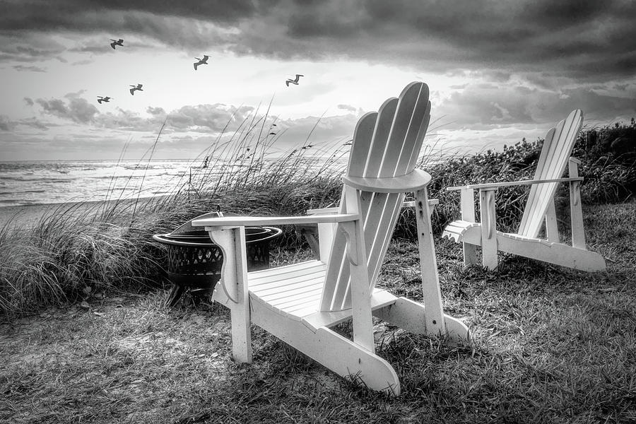 Sitting in the Sunshine on the Beach Black and White Photograph by Debra and Dave Vanderlaan