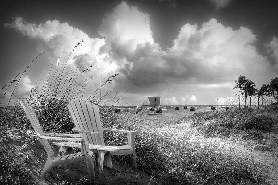 Sitting on the Beach Dunes in Black and White Photograph by Debra and Dave Vanderlaan