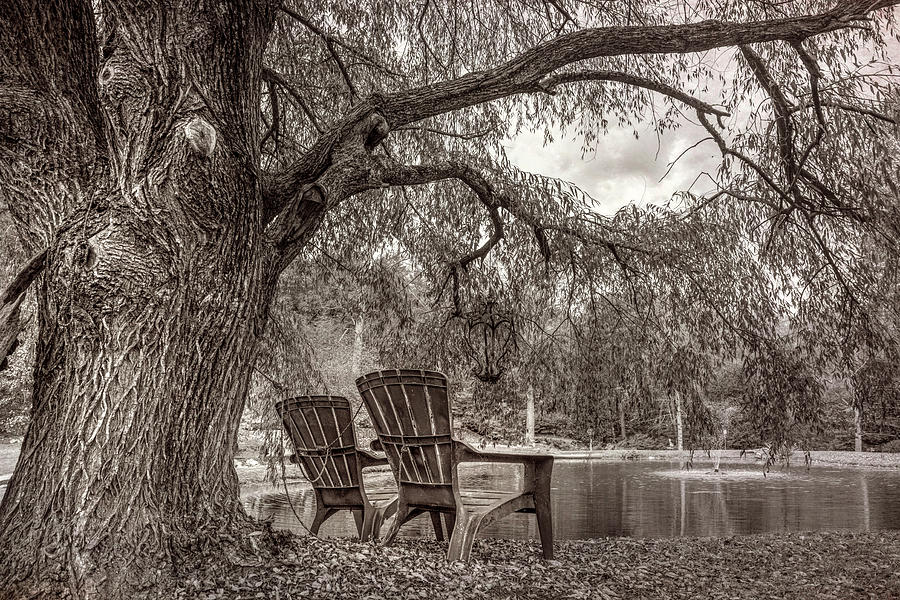 Sitting on the Edge of the Pond in Vintage Sepia tones Photograph by Debra and Dave Vanderlaan