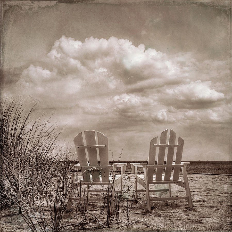 Sitting Pretty in Vintage Sepia Photograph by Debra and Dave Vanderlaan