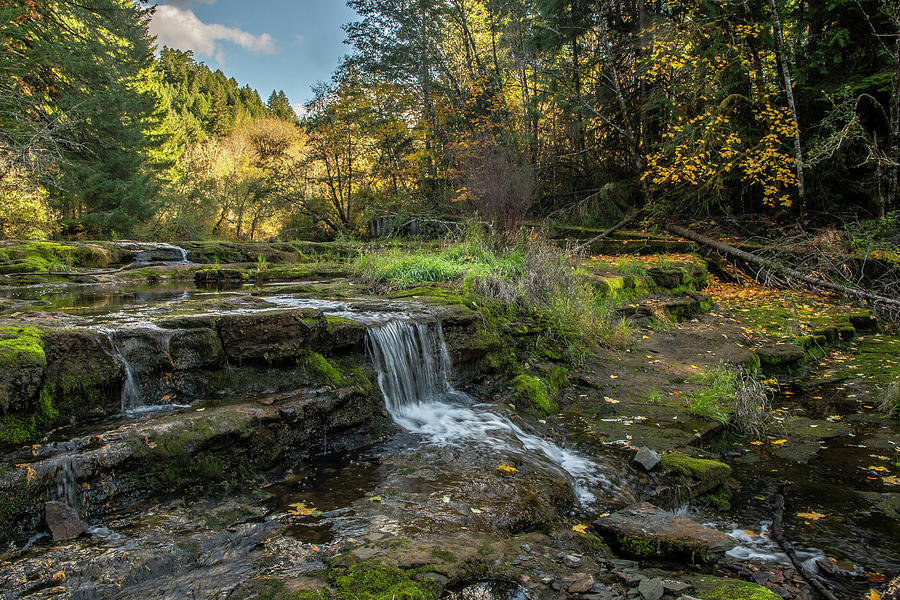 Siuslaw Falls by Matthew Irvin Siuslaw Falls by Matthew Irvin