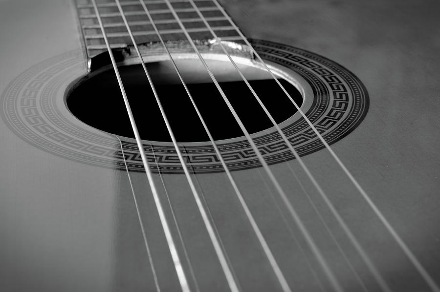 Six Guitar Strings Photograph by Angelo DeVal