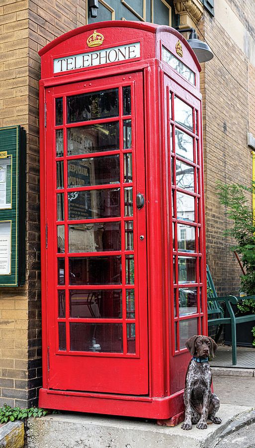 Six Pence Pub Phone Booth Visitor Photograph
