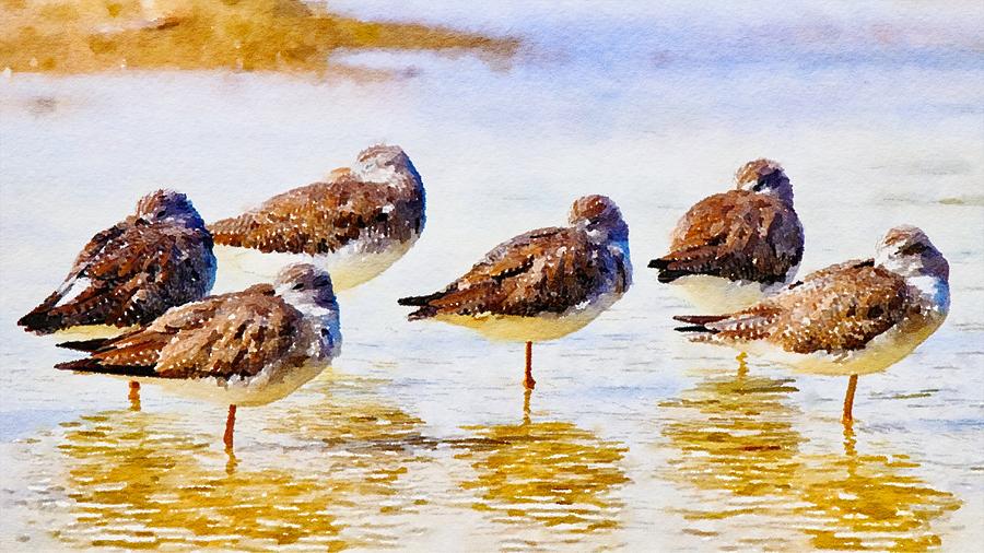 Six Sandpipers Watercolor Mixed Media by Susan Rydberg