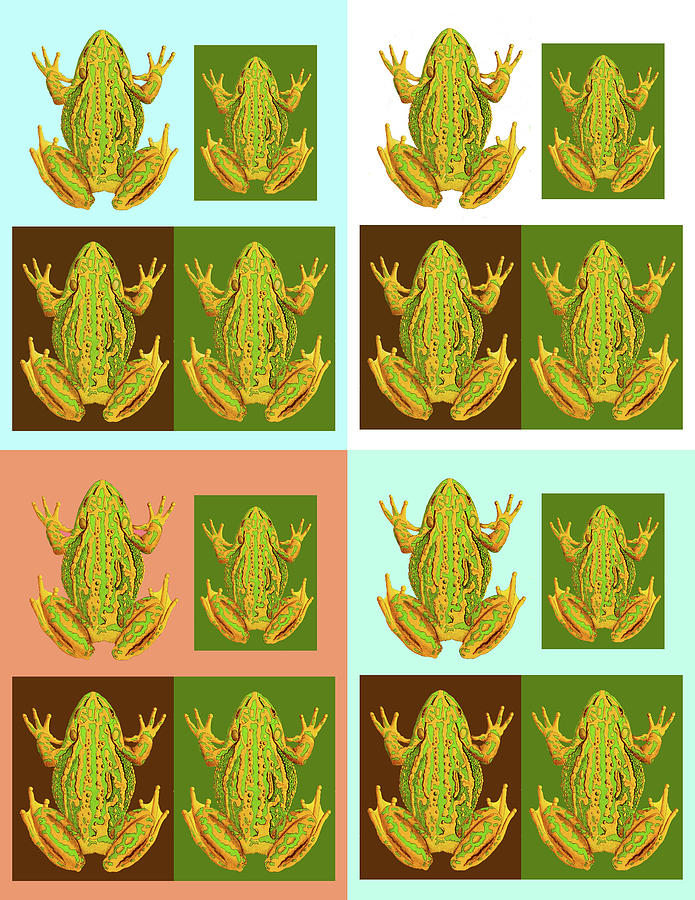 Sixteen Frogs Digital Art by Lorena Cassady