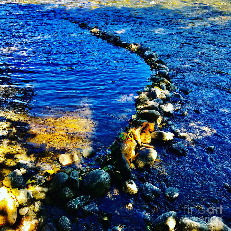 Skagit River Rocks Photograph by Suzanne Lorenz