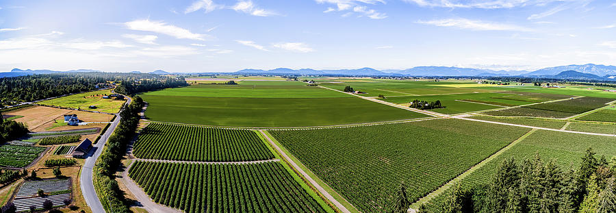 Skagit Valley Aerial Farm Pyrography by Brian Stout | Fine Art America