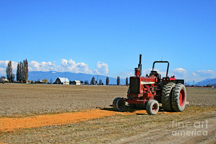 Skagit Valley Tractor Photograph by Norma Appleton