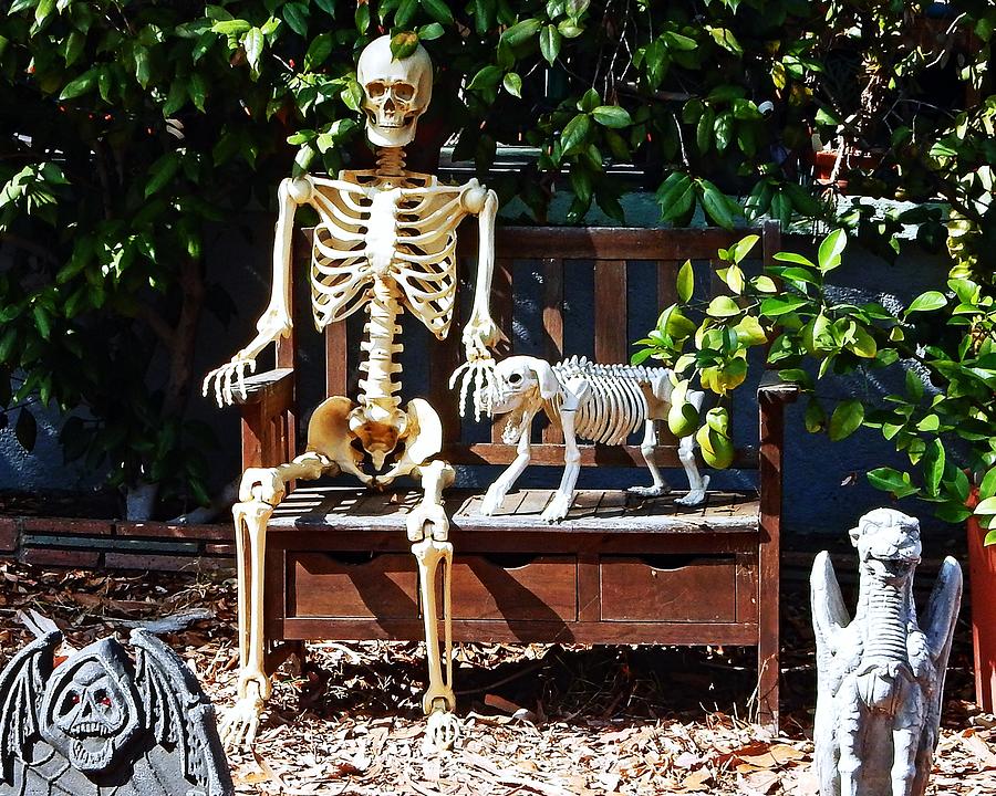 Skeleton and Dog Photograph by Andrew Lawrence