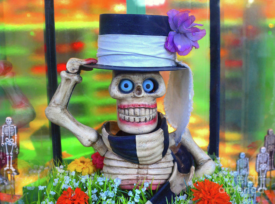 Skeleton And Top Hat Photograph