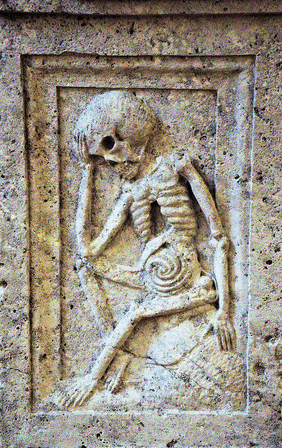 Skeleton Photograph - Skeleton by Edna W