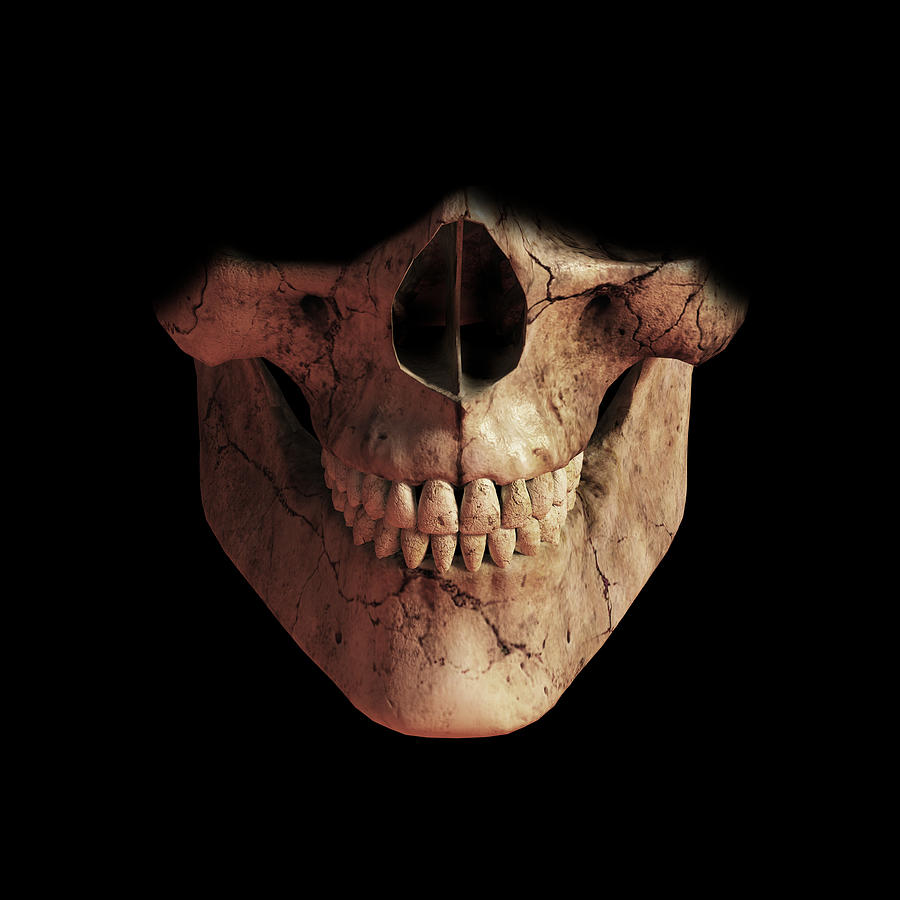 Skeleton Grin Digital Art by Daniel Eskridge