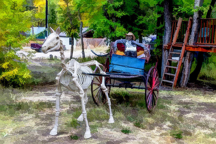 Skeleton Horse And Buggy Photograph by Lorraine Baum
