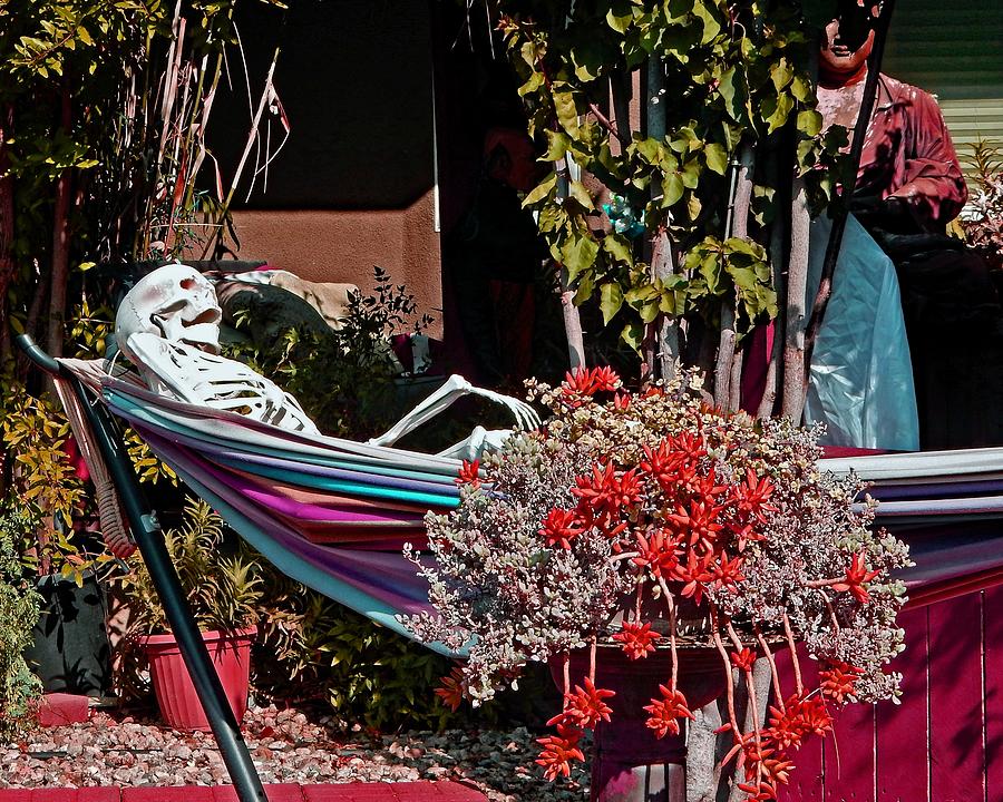 Skeleton in a Hammock Photograph by Andrew Lawrence