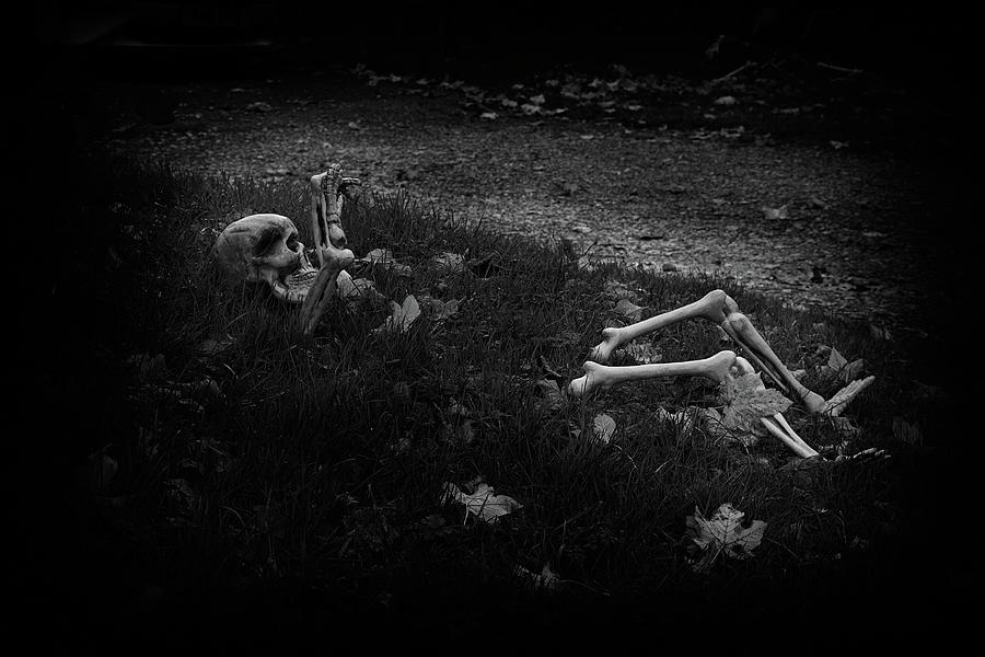 Skull Photograph - Skeleton On Halloween by Watto Photos