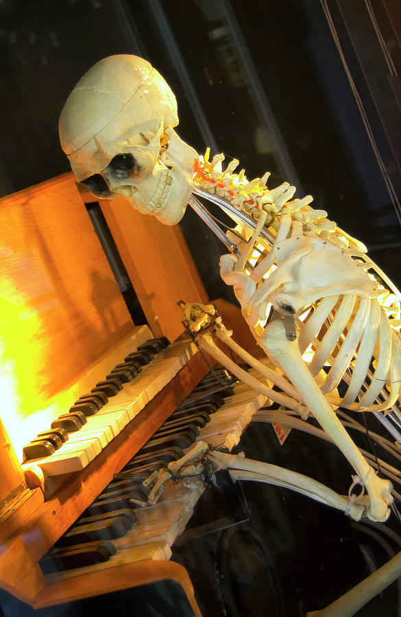Skeleton Plays Piano Photograph by Bob Pardue
