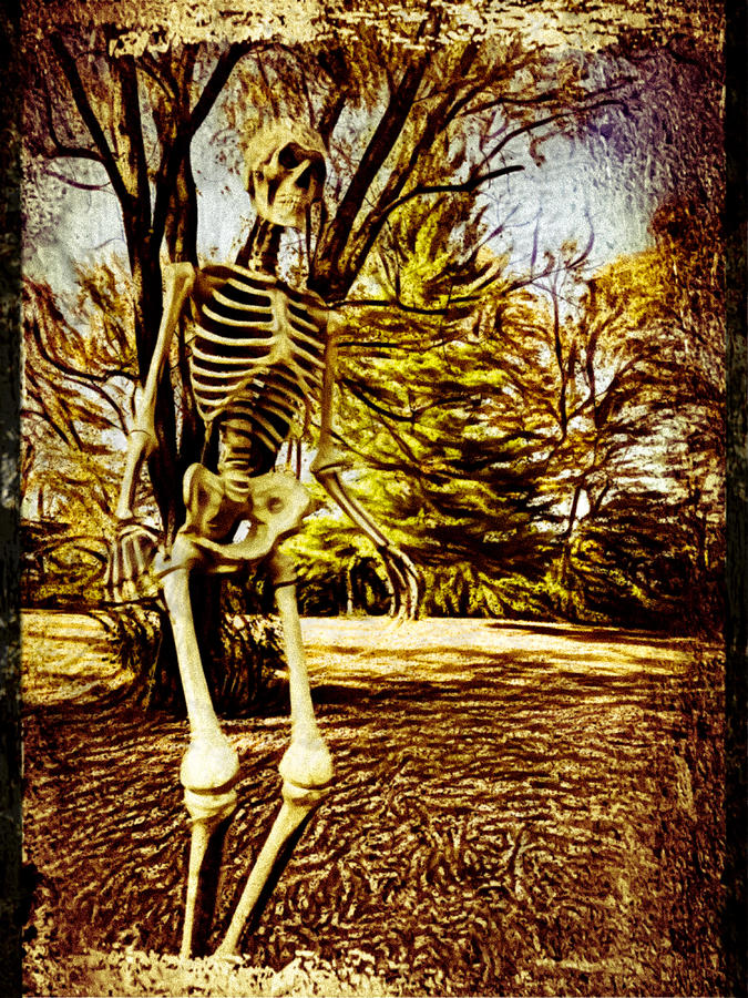 Skeleton Stalking Photograph by Diane Lindon Coy - Fine Art America