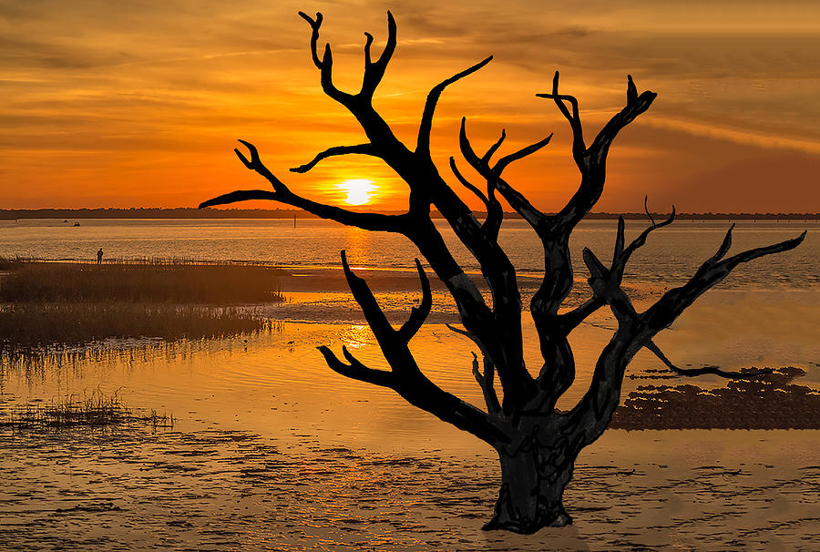 Skeleton Trees of Graveyard Beach 05 Photograph by Jim Dollar