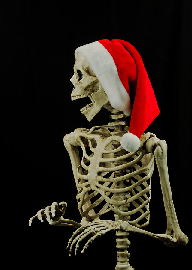 skeleton wearing a Santa Claus hat Photograph by Wwing