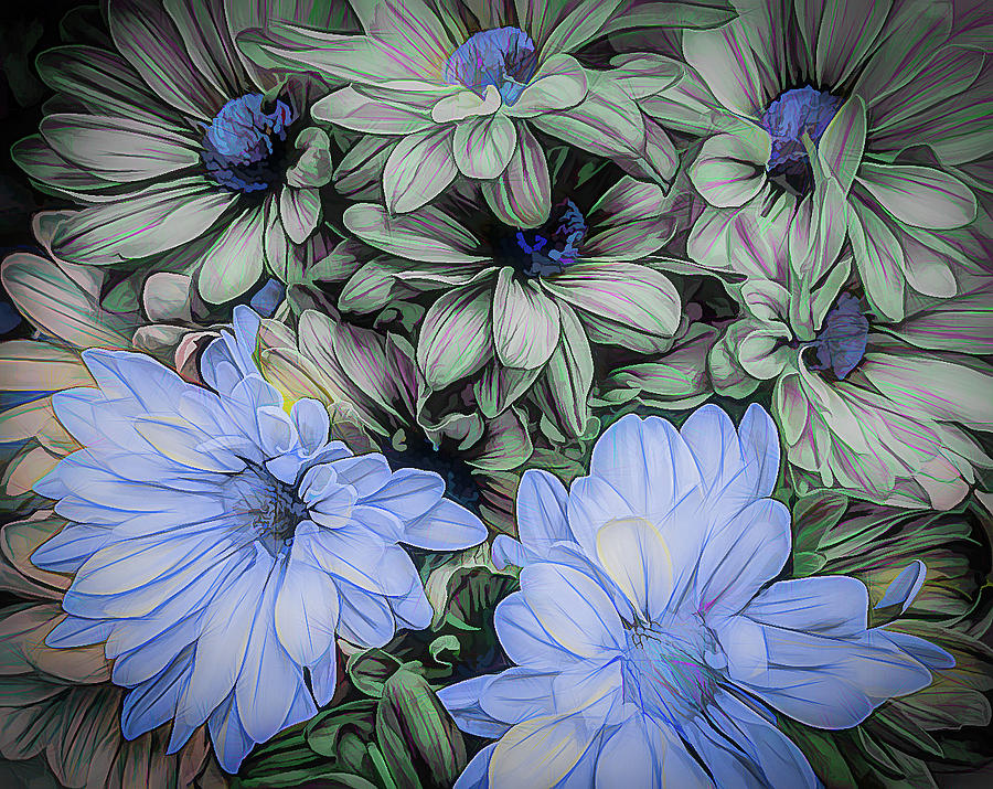 Sketchy Flowers Photograph by Georgette Grossman