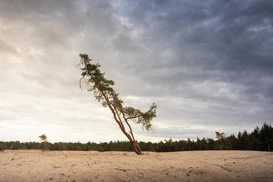 Skewed in the Light Photograph by Claire Droppert - Fine Art America