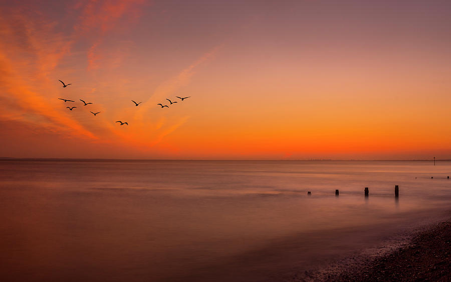 Skies of Selsey Photograph by Chris Boulton