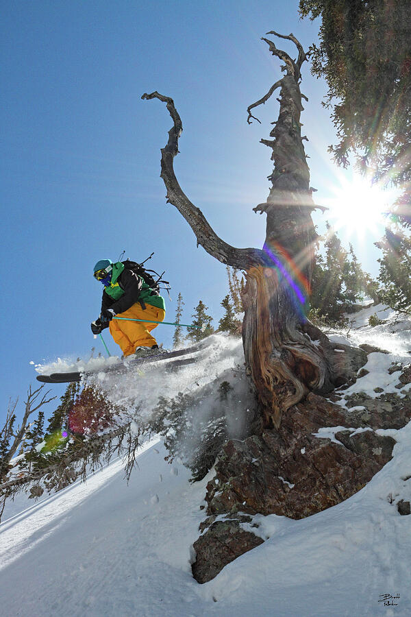 Skiing Dead Snag Tree Jump - Mineral Basin, Utah Photograph by Brett Pelletier