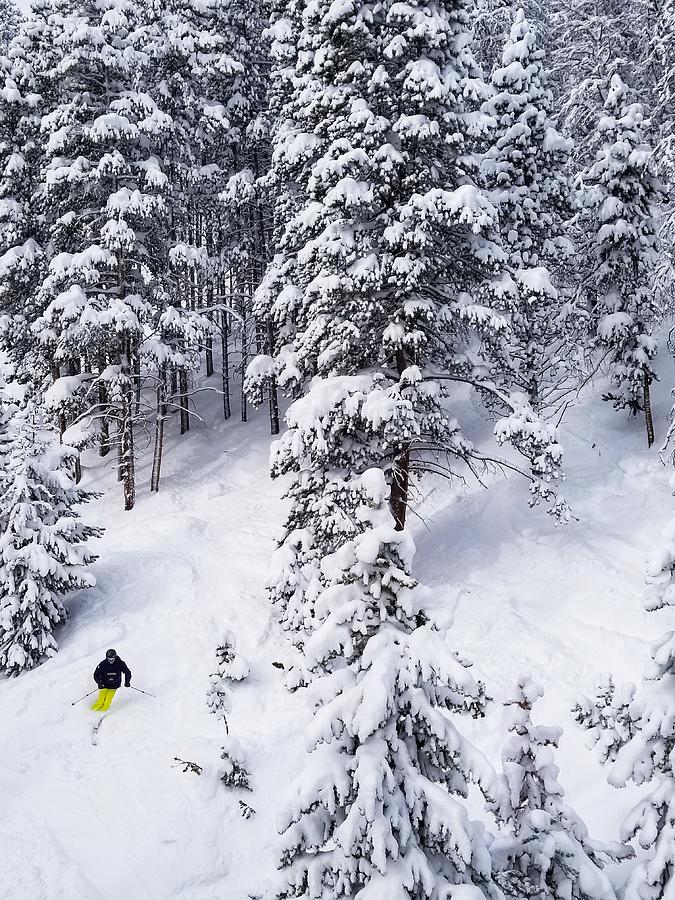 Skiing In The Trees On A Powder Day Photograph by Fiona Kennard