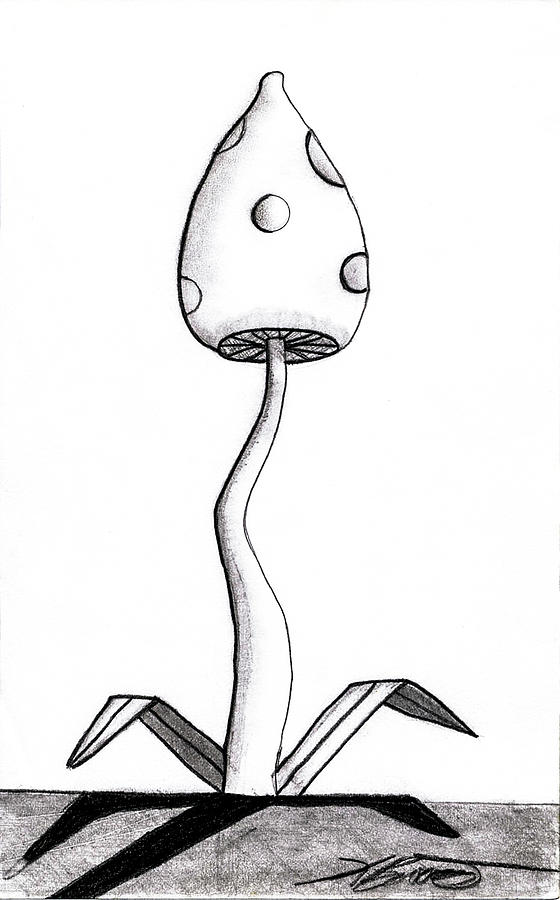 Skinny Mushroom Drawing
