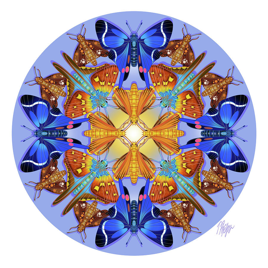 Skipper Butterfly Collection Mandala Digital Art by Tim Phelps