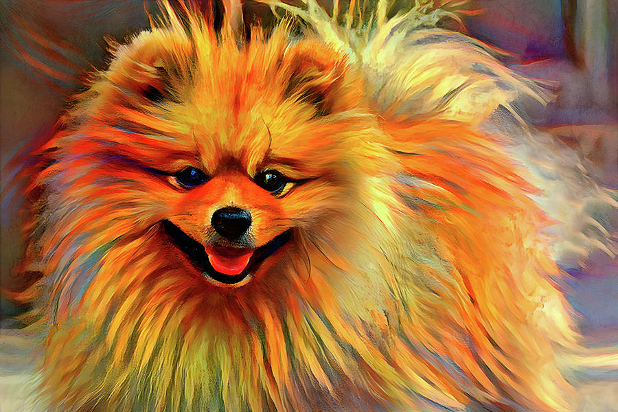 Skippy the Pomeranian Digital Art by Peggy Collins