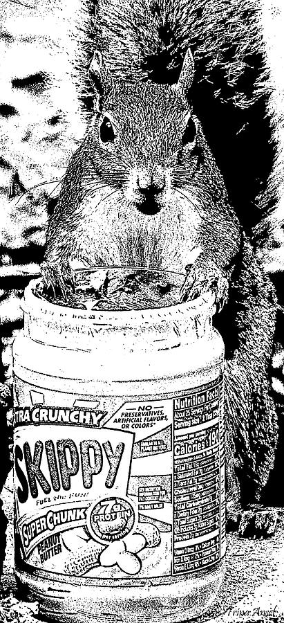Skippy the Squirrel in Black and White Photograph by Trina Ansel