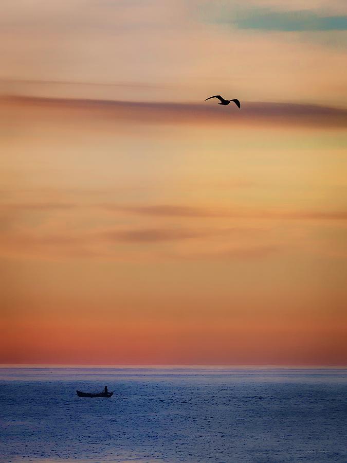 Skittle and Gull at Sunrise Photograph by John A Rodriguez
