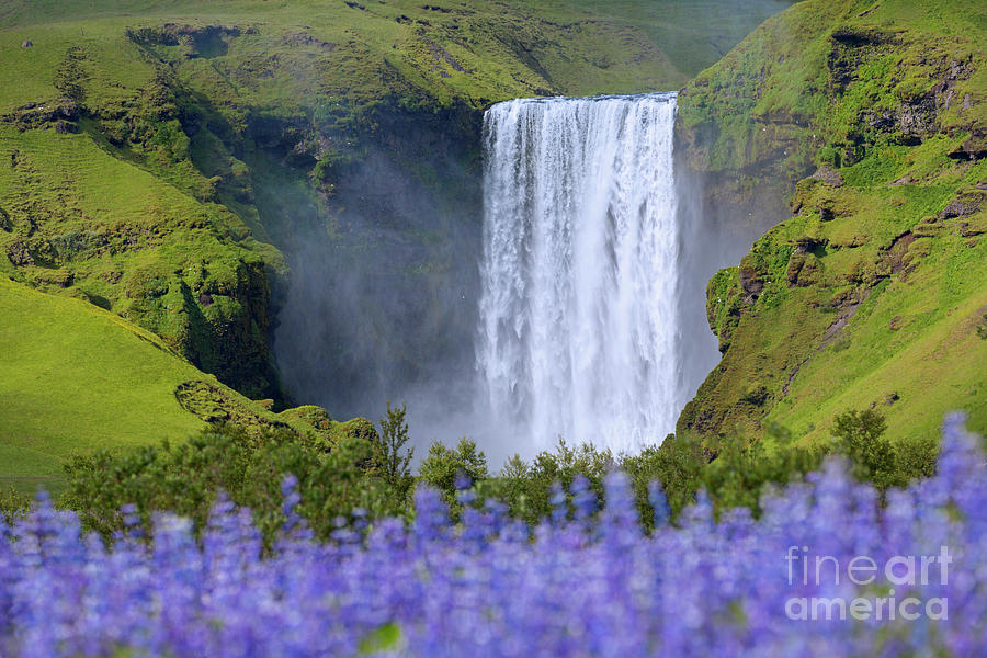 Skogafoss Waterfall, Iceland Photograph by Arterra Picture Library