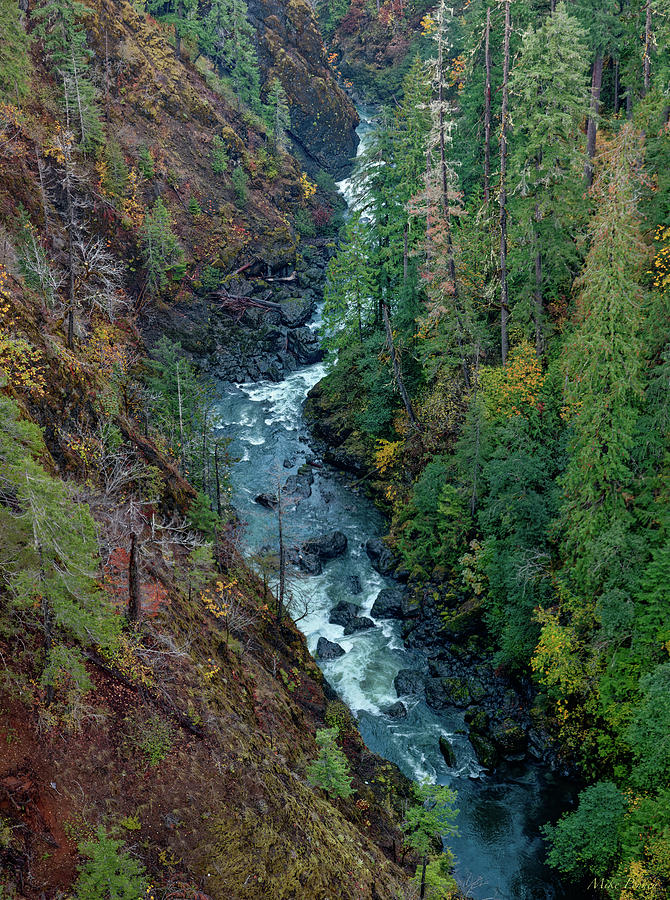 Skokomish River 11-22-03 Photograph by Mike Penney - Pixels