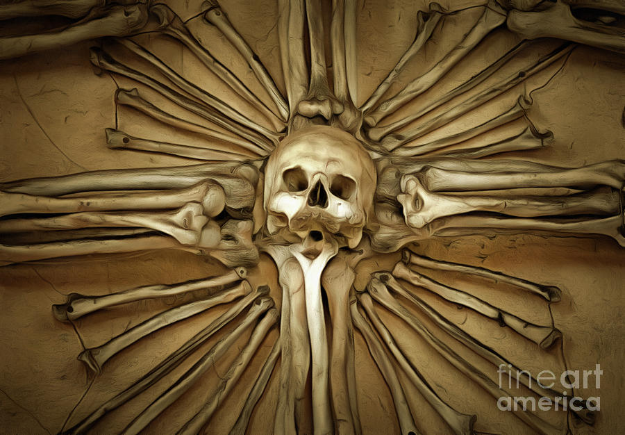 Skull and Bones Mixed Media by Michal Boubin