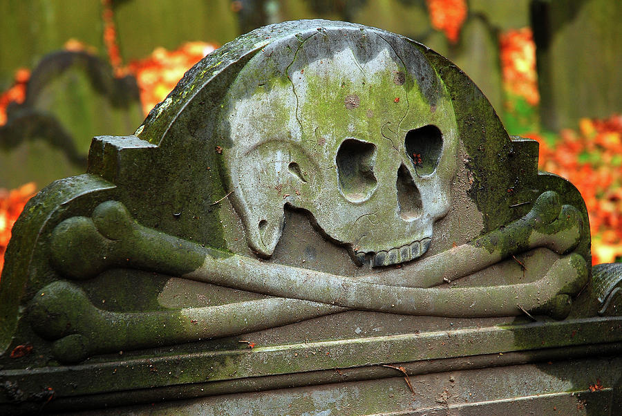 Skull and Cross bones grave Photograph by James Kirkikis