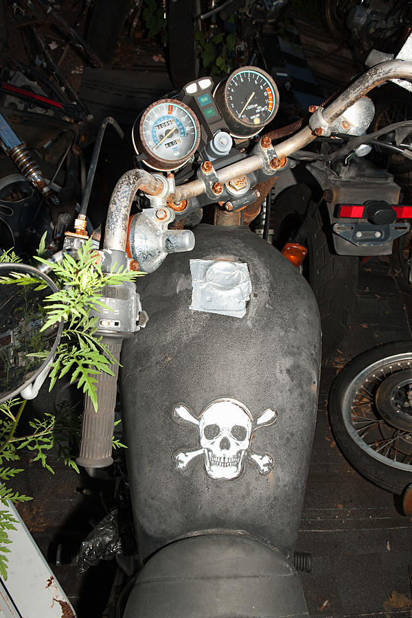 Skull and crossbones on motorbike fuel tank Photograph by Image Source